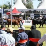 Comienza “Santiago Productivo”: Producción con raíces santiagueñas y mirada al futuro