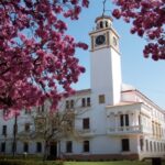 El Gobierno provincial decretó asueto administrativo para los días 24 y 31 de diciembre