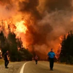 ¿Dónde está el Plan de Manejo del Fuego?