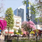 Santiago del Estero, líder en seguridad institucional y desarrollo sostenible según el Índice del Inversor Verde