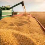 Santiago del Estero busca fortalecer el agro con más tecnología, innovación y valor agregado