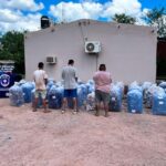 Secuestran tres camionetas y más de 1.300 kilos de hojas de coca en un control en la Muralla Norte