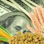 Exportaciones: Santiago del Estero creció por encima del promedio nacional y destacó en el Norte Argentino